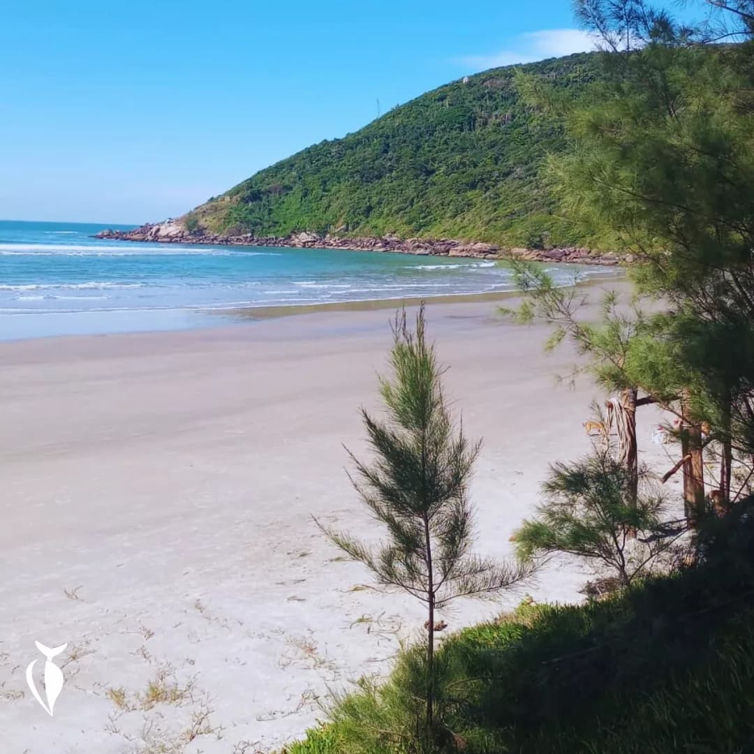 Praia Vermelha